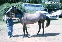 ��� (BAEK BONG) ����