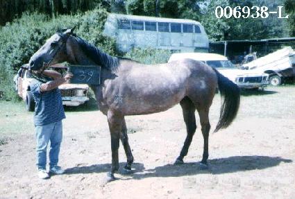 ��� ����