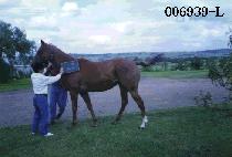 �ݰ��� (GEUM GANG GYEONG) ����