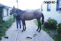 �ż��� (SIN SE DAE) ����