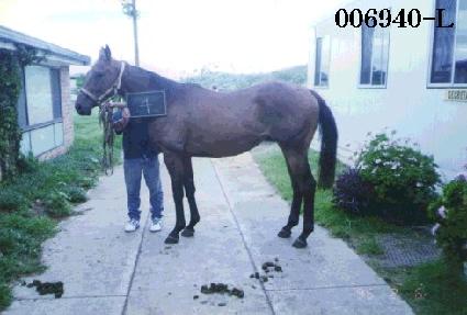 �ż��� ����