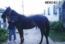 ���ʸ� (O CHO MA) ����