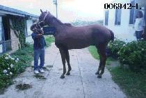 �븶�� (DAE MA RYEOK) ����