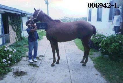 �븶�� ����