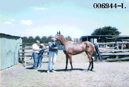 ����Ű ����