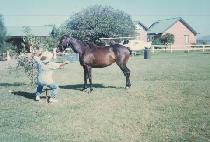 ���� (YEOL GWANG) ����