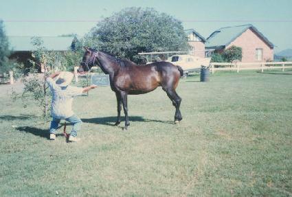 ���� ����