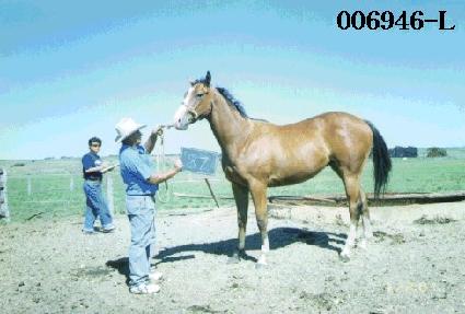 ���� ����