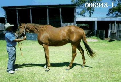 ���� ����