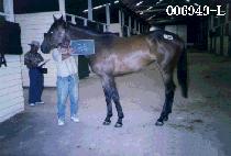 ���ѽú� (SAE AT SI BOL) ����