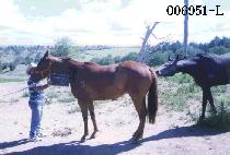 ������ (SEUNG JEON GO) ����