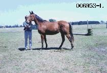 �ʶ��Ǿ� (PHILADELPHIA) ����