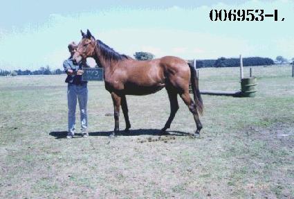 �ʶ��Ǿ� ����