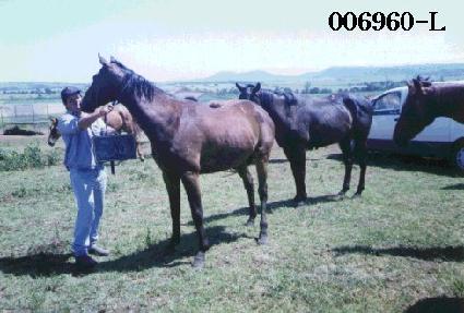 ��ݵι� ����