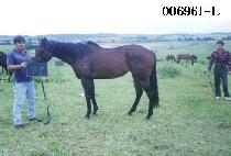 ��ο� (JAE MIN YONG) ����