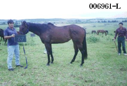 ��ο� ����