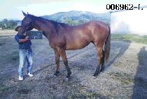 ��Ÿ (GANG TA) ����