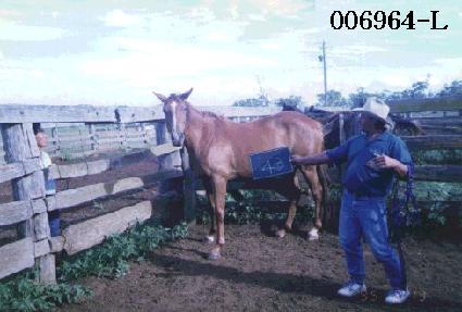 ���ӵ��� ����