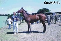 ���峪�� (BEO DEU NA MU) ����