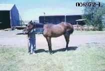 ��� (DAE DEOK) ����