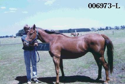 �ɵ��� ����