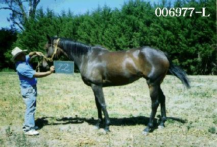 ���߽ô� ����