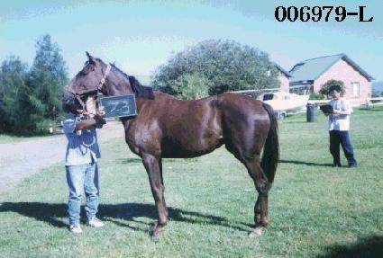 ���ۿ��� ����