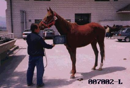 ��Ÿ���� ����