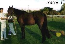 ���� (GOE RYEOK) ����