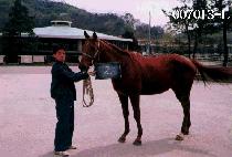 õ��õ�� (CHEONGOON CHEONSA) ����