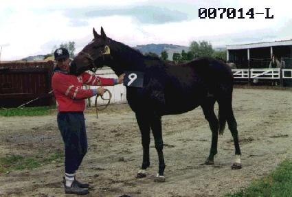 �ܰ� ����