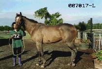 �߰ݼ� (CHU GYEOK SEON) ����