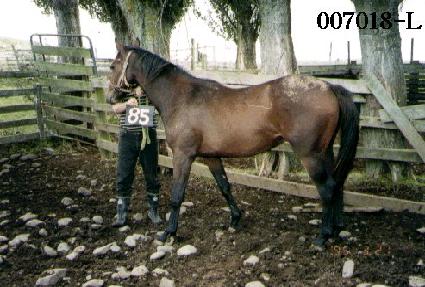 �˰� ����