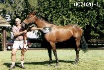 ����� (BAEK BONG SAN) ����