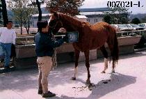 ���󺸶� (BORA BORA) ����