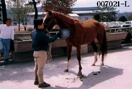 ���󺸶� ����