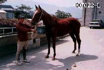 �ı��� (PA GOE RYEOK) ����