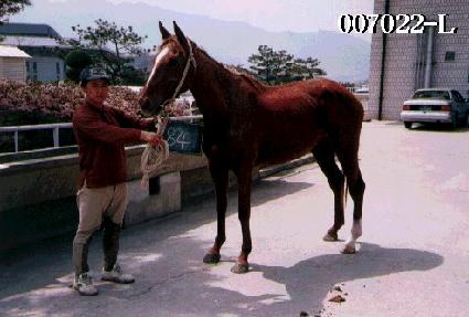 �ı��� ����