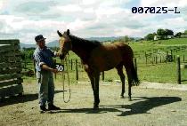 �ⷮ (GI RYANG) ����