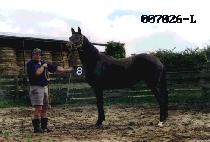 ������ (SEON BA WI) ����