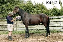 ����Ͼ� (JANGBU ILEON) ����