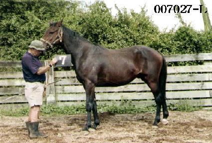 ����Ͼ� ����