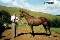 ��Ʈ����ũ (STRIKE) ����