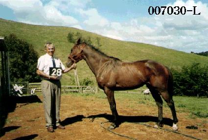 ��Ʈ����ũ ����