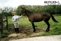 ���� (MA WANG) ����