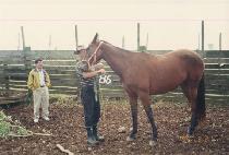 ��º� (DAE SEUNG BU) ����