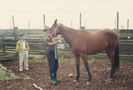 ��º� ����