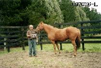 ������ (MILLFORD) ����