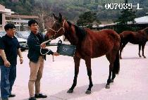 ��� (SANG SEUNG) ����