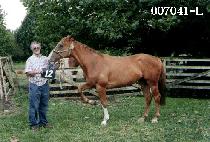 ���� (MYEONG JAK) ����